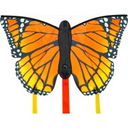 Bild von Drachen Butterfly Monarch