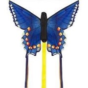 Bild von Drachen Butterfly Swallowtail