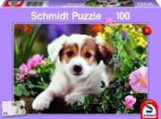 Bild von Puzzle 100 Hund Baboo