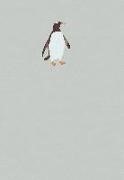 Bild von ErlebnisWelt Natur - Pinguin