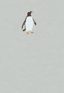 Bild von ErlebnisWelt Natur - Pinguin