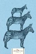 Bild von Skizzenbuch Zebra