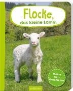 Bild von Flocke, das kleine Lamm