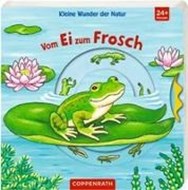 Bild von Kleine Wunder der Natur: Vom Ei zum Frosch von Brauer, Sybille (Illustr.)