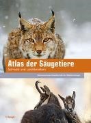 Bild von Atlas der Säugetiere - Schweiz und Liechtenstein von Schweizerische Gesellschaft für Wildtierbiologie (SGW) (Hrsg.) 